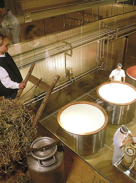 Kinder bei der Käseherstellung in der Erlebnissennerei Zillertal