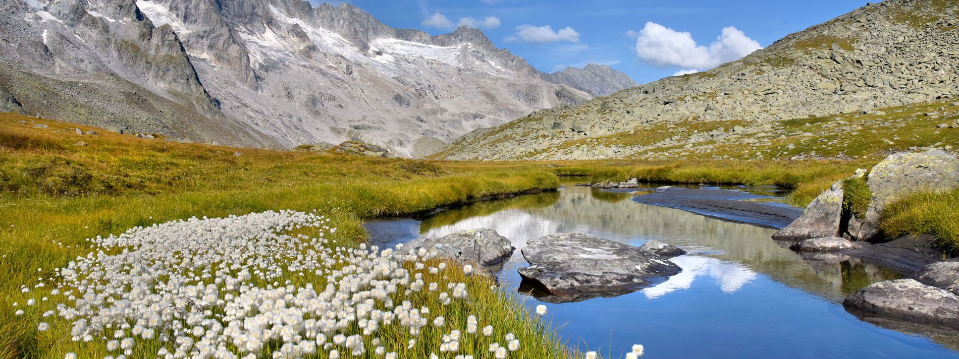 Sommer