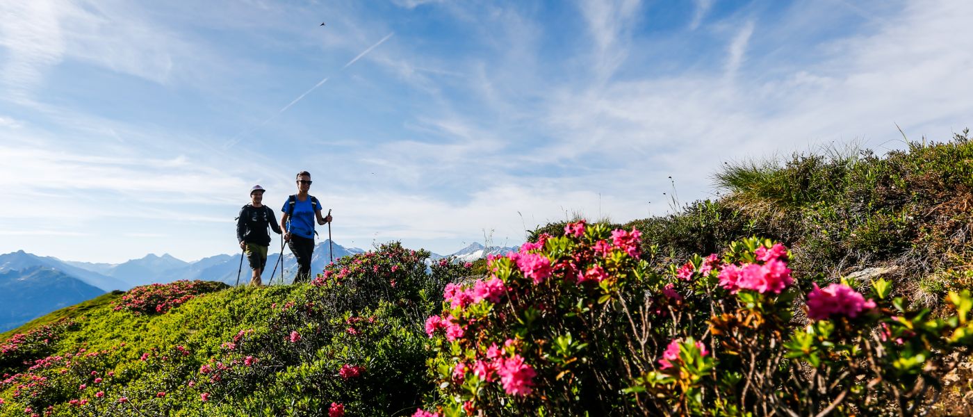 Business partner of Zillertal Nature Park