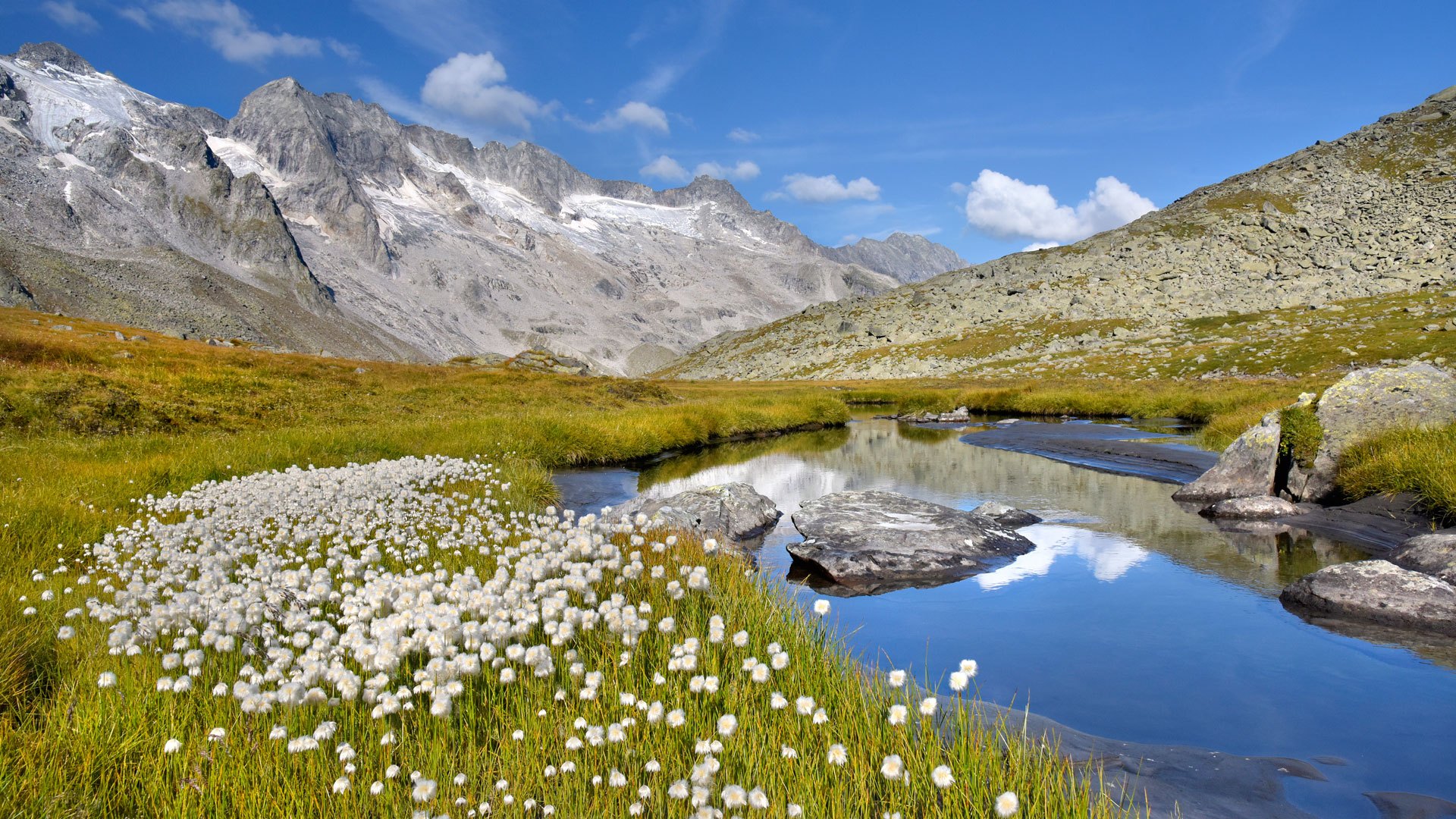Berglandschaft im Zillertal im Sommer